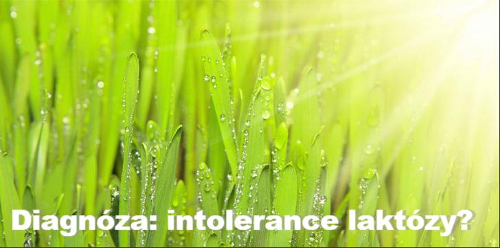  diagnoza-intolerance-na-laktozu.webnode.cz